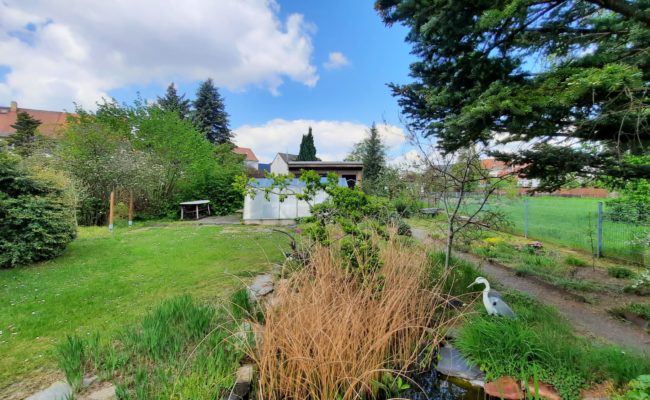 Garten 1