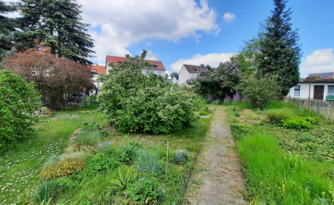 Garten 2